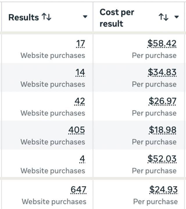 Meta Ads Manager: five of the ad sets' purchases, and 647 website purchases in all at $24.93 each